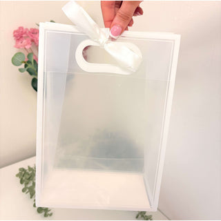 Clear Ribbon Gift Bag with White Outline