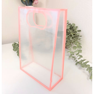 Clear Gift Bag with Peach Outline