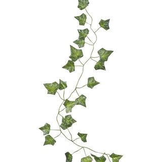 Decorative Vine - Beautiful Botanics