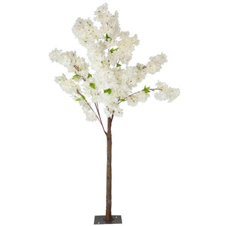 Ivory Cherry Blossoms Rental