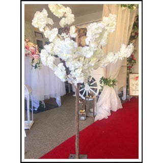 Ivory Cherry Blossoms Rental