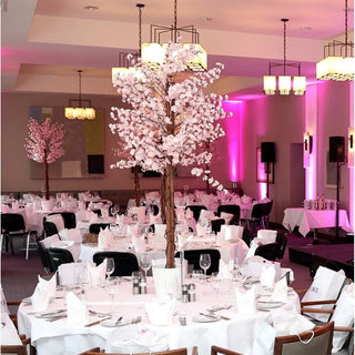 Large Pink Cherry Blossom Tree