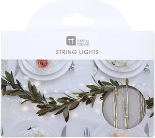 Silver Wire LED String Lights - 3m